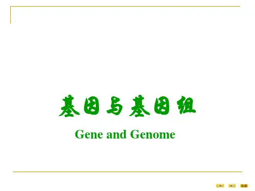 医学分子生物学第一章 基因和基因组