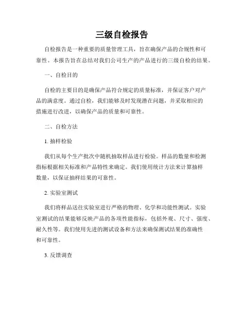三级自检报告