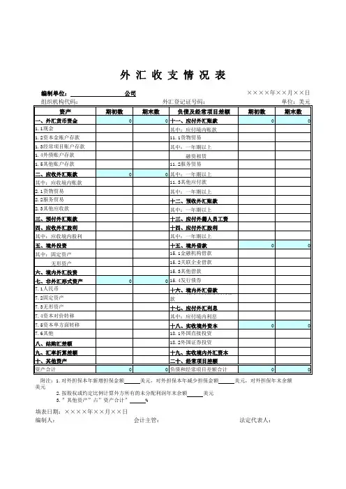 Excel实战技巧模板1000例：外汇收支情况表