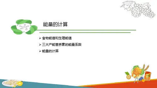 能量与营养素—能量