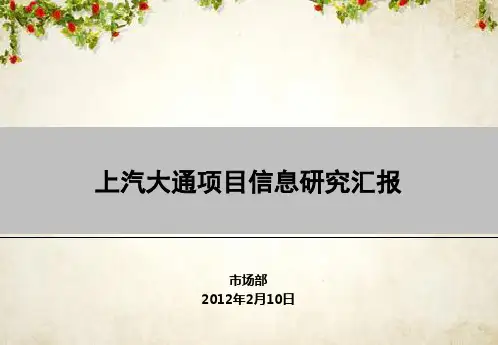 上汽大通项目信息研究汇报(PPT 29页)