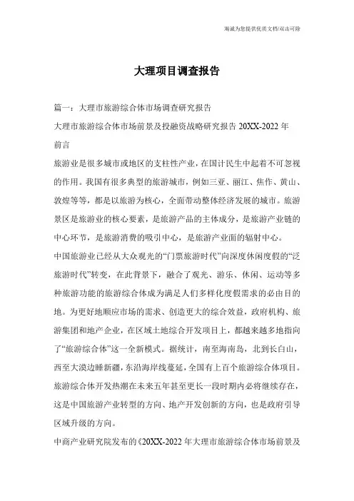 大理项目调查报告