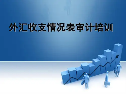 外汇收支情况表审计培训