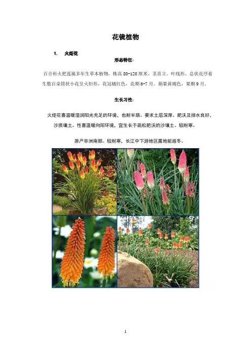 90种花镜植物、有解析和图片(1)