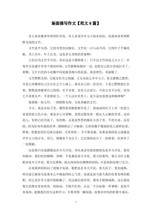 精选场面描写作文【范文9篇】