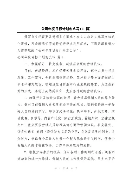 公司年度目标计划怎么写(11篇)