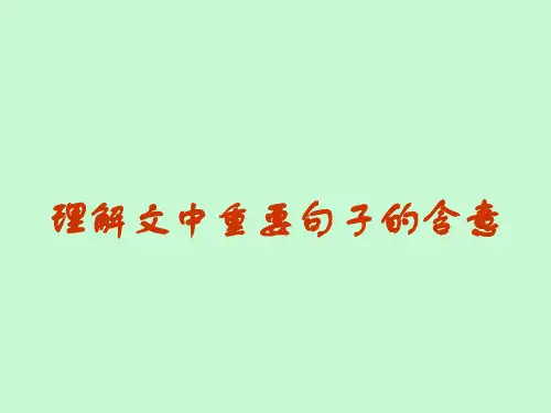 理解散文中重要句子的含意PPT教学课件