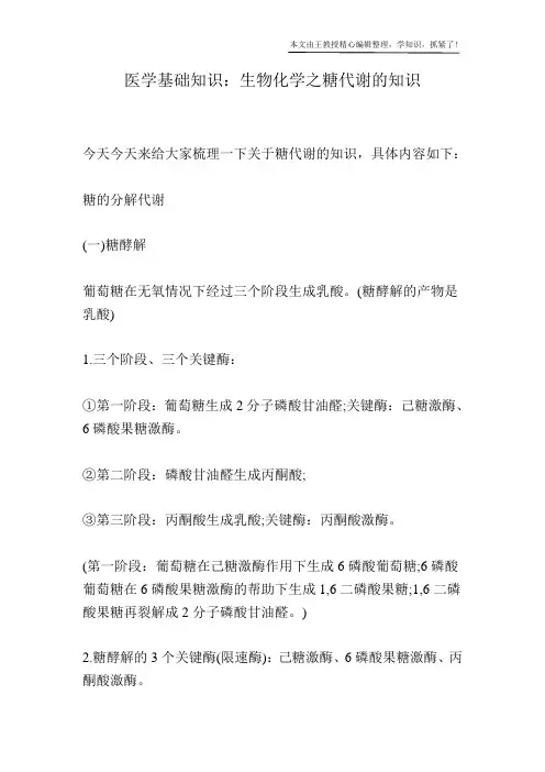 医学基础知识：生物化学之糖代谢的知识