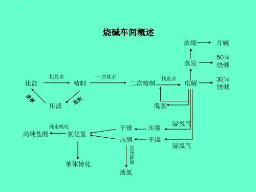 氯碱行业烧碱工艺演示