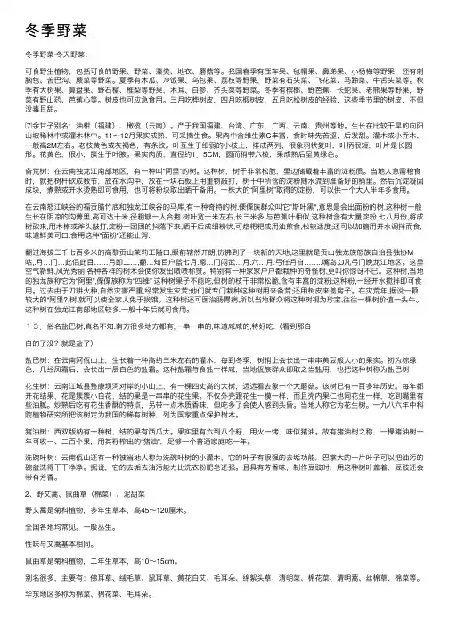 冬季野菜——精选推荐