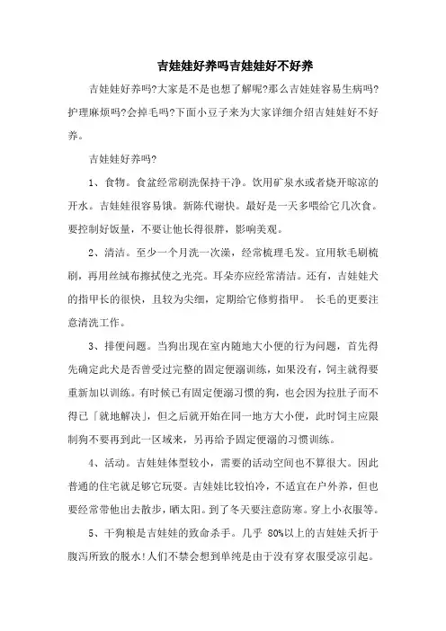 吉娃娃好养吗吉娃娃好不好养