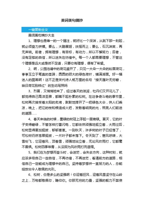 美词美句摘抄大全