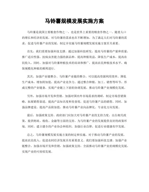 马铃薯规模发展实施方案