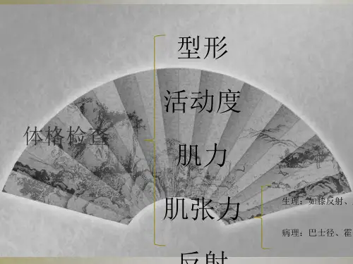 骨科病历及检查