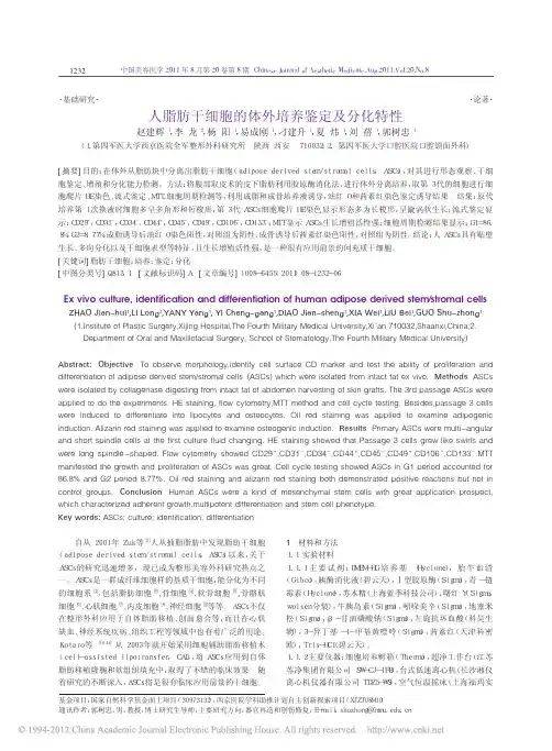 人脂肪干细胞的体外培养鉴定及分化特性_赵建辉