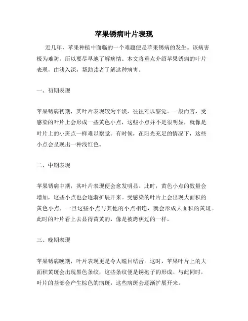 苹果锈病叶片表现