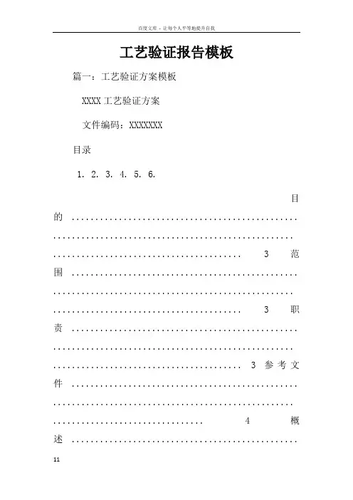 工艺验证报告模板