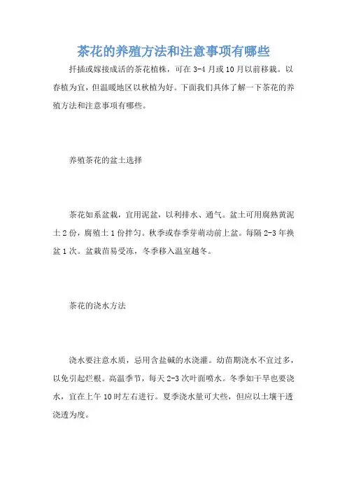 茶花的养殖方法和注意事项有哪些