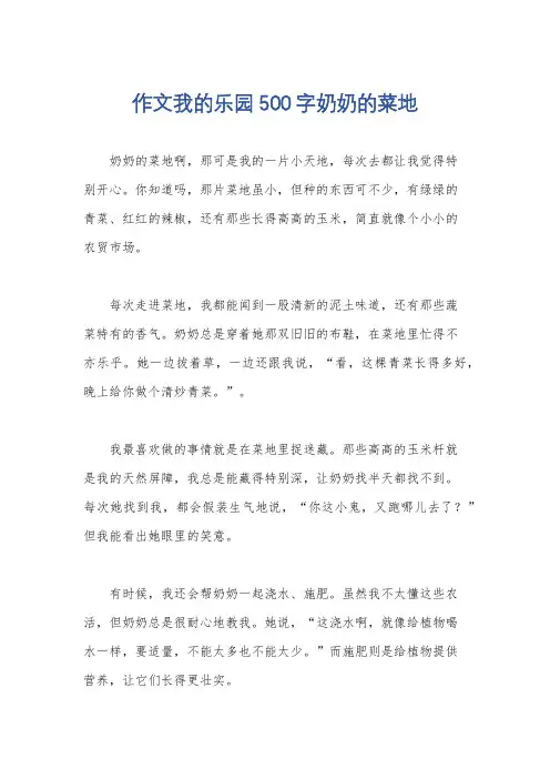 作文我的乐园500字奶奶的菜地