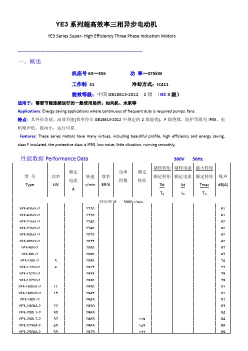 YE3系列高效节能电机