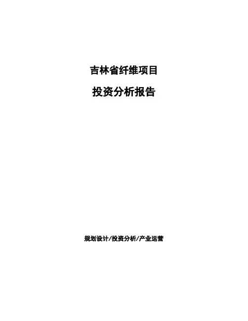 吉林省纤维项目投资分析报告