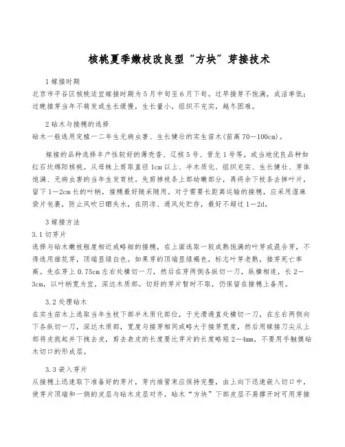 核桃夏季嫩枝改良型“方块”芽接技术