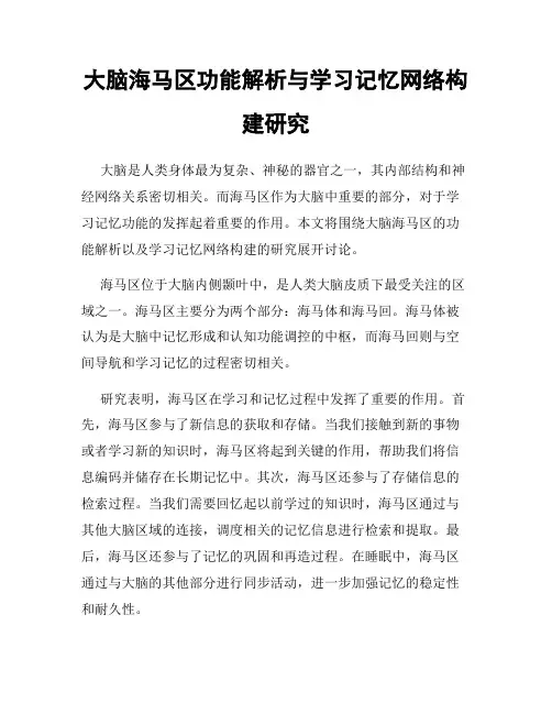 大脑海马区功能解析与学习记忆网络构建研究