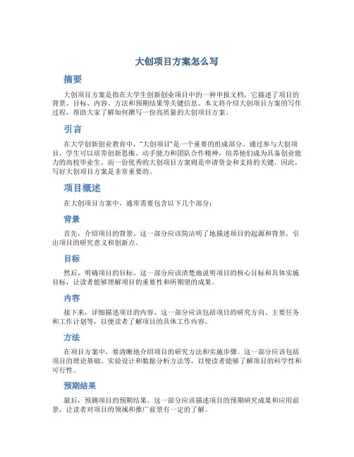 大创项目方案怎么写