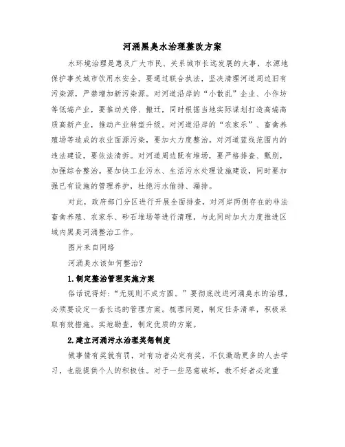 河涌黑臭水治理整改方案（二篇）