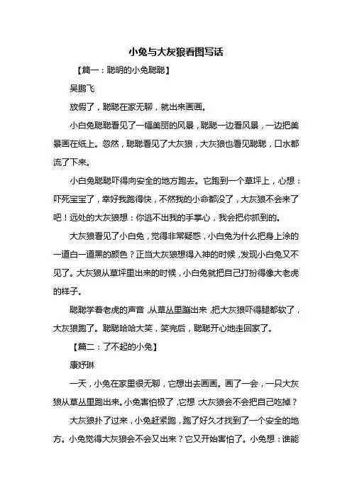 二年级作文：小兔与大灰狼看图写话
