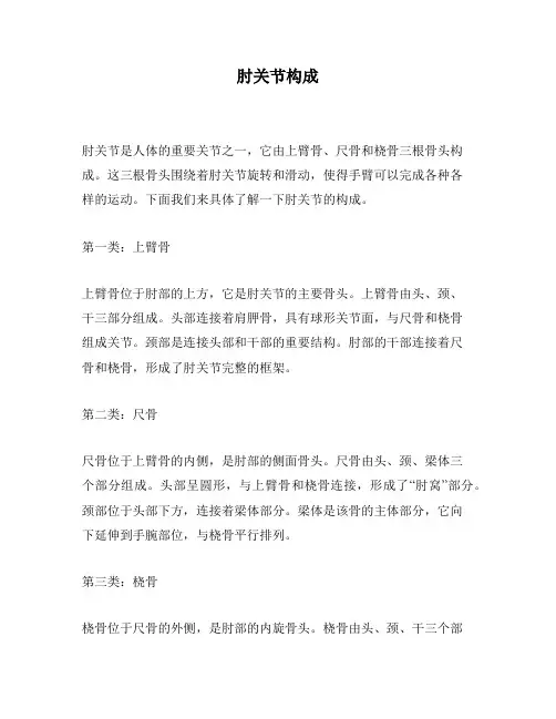 肘关节构成
