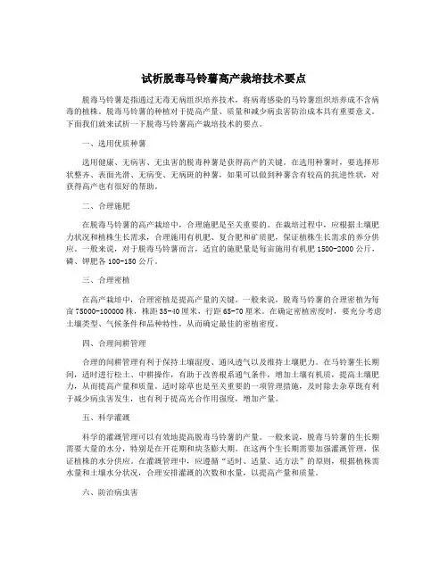 试析脱毒马铃薯高产栽培技术要点