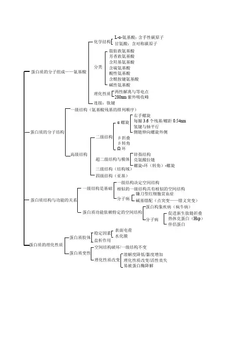 生化思维导图