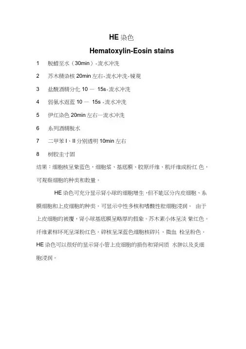 各个染色具体步骤终极版