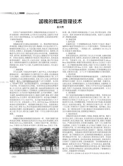 国槐的栽培管理技术