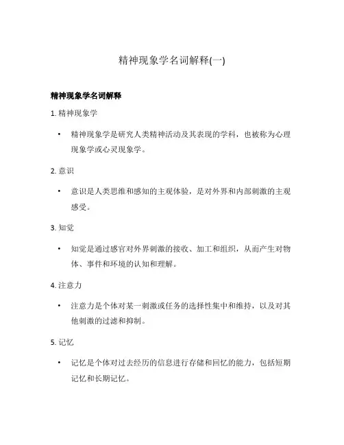 精神现象学名词解释(一)