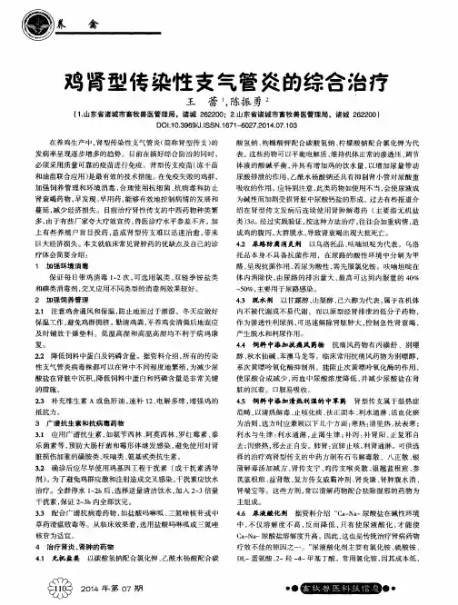 鸡肾型传染性支气管炎的综合治疗