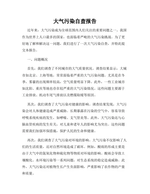大气污染自查报告