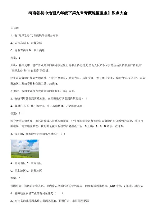 河南省初中地理八年级下第九章青藏地区重点知识点大全