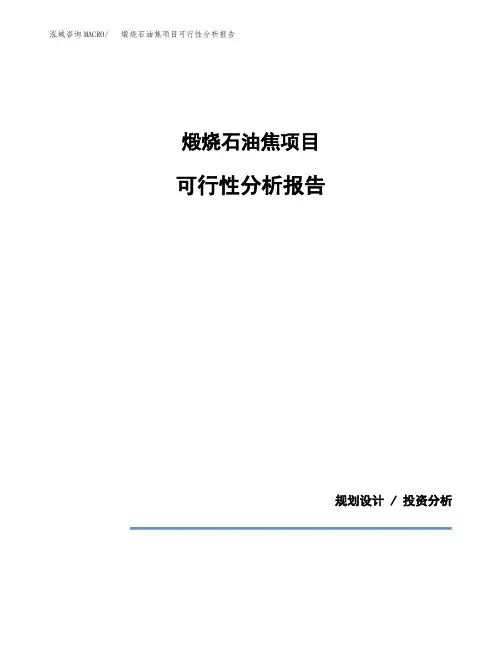 煅烧石油焦项目可行性分析报告(模板参考范文)