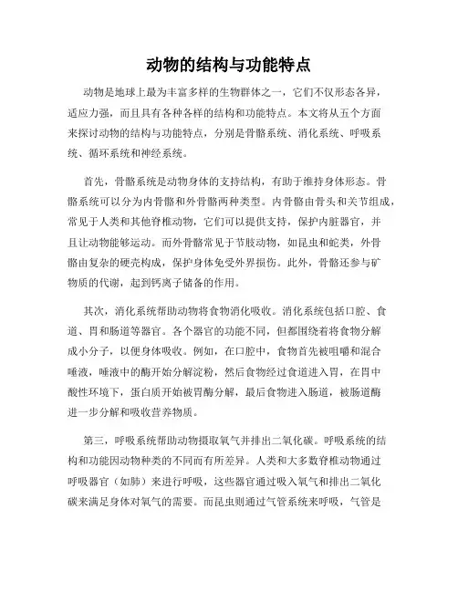 动物的结构与功能特点