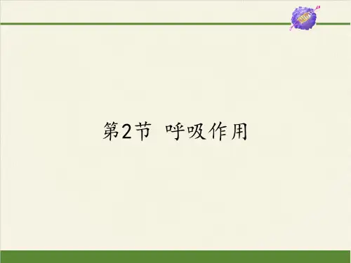 北师大版初中生物七年级上册 第2节 呼吸作用