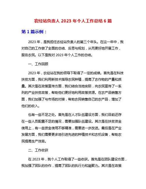 农经站负责人2023年个人工作总结6篇