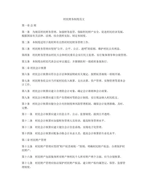 村民财务制度范文