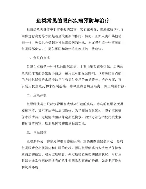 鱼类常见的眼部疾病预防与治疗