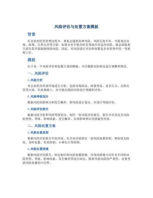 风险评估与处置方案模板