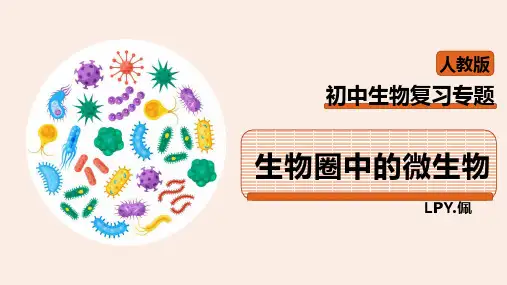 生物圈中的微生物复习课件