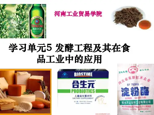 学习单元 发酵工程及其在食品工业中的应用发酵工程概述
