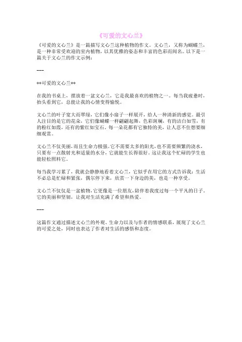 《可爱的文心兰》