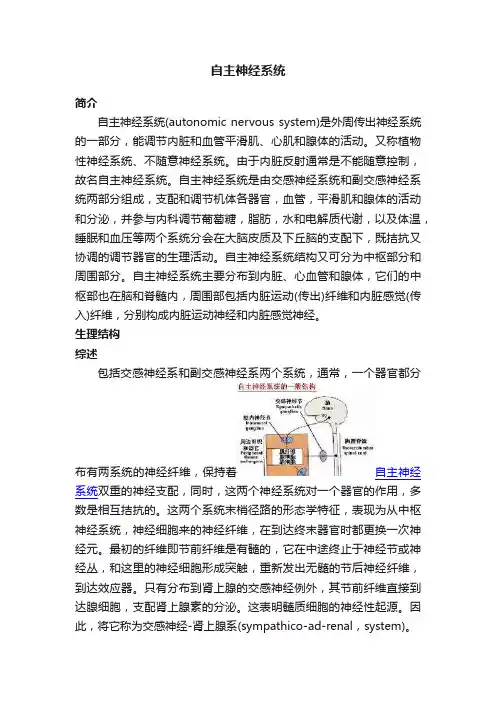 自主神经系统